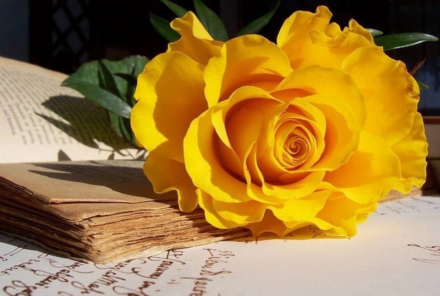 Tử vi tuần mới (12-18/5/2025): Tuổi Tý phát triển rực rỡ, tuổi Ngọ khẳng định tài năng