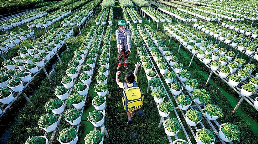 PVCFC tiên phong thực thi ESG
