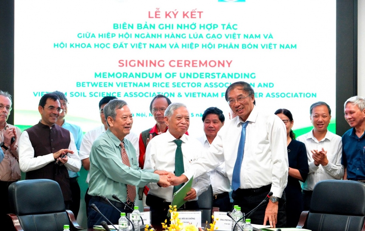 Hợp tác phát triển bền vững ngành hàng lúa gạo quốc gia