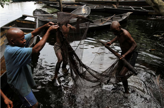 Huyết mạch dầu mỏ Nigeria lại phát nổ: Thảm họa môi trường bao trùm Ogoniland