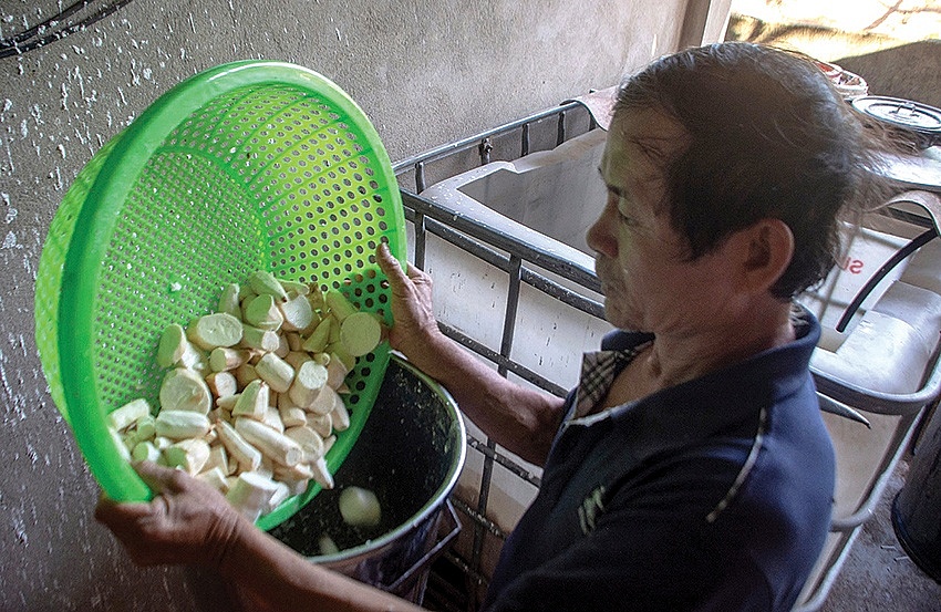 Mỹ vị vùng trung du xứ Quảng