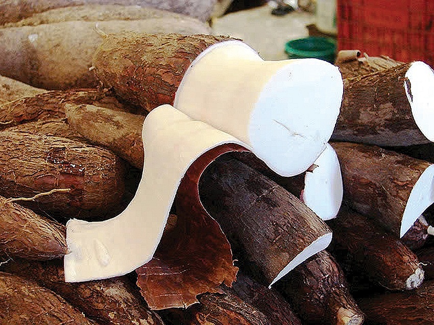 Mỹ vị vùng trung du xứ Quảng