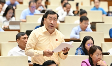 Đại biểu Quốc hội: Cân nhắc việc thành lập tòa án chuyên biệt