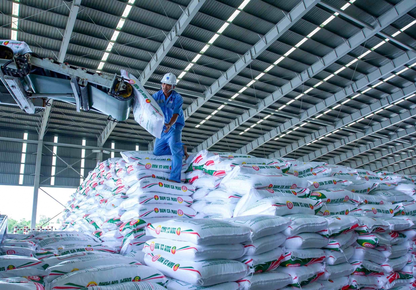 Bứt phá toàn diện, PVCFC giữ thế chủ lực trong vụ Hè Thu 2025
