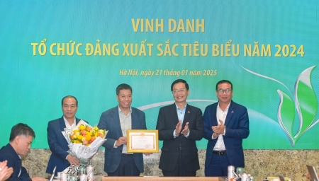 Đảng bộ BMQL&ĐH phát huy vai trò dẫn dắt hoạt động của Petrovietnam