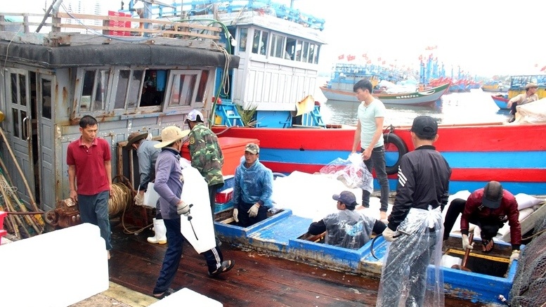 TP Huế: Xử lý triệt để tàu cá bốc dỡ hàng tại cảng chưa được chỉ định