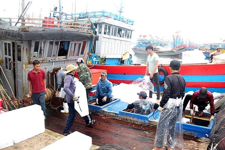 TP Huế: Xử lý triệt để tàu cá bốc dỡ hàng tại cảng chưa được chỉ định