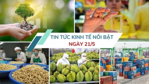 Tin tức kinh tế ngày 21/5: Tăng trưởng tín dụng xanh đạt 21,2% mỗi năm