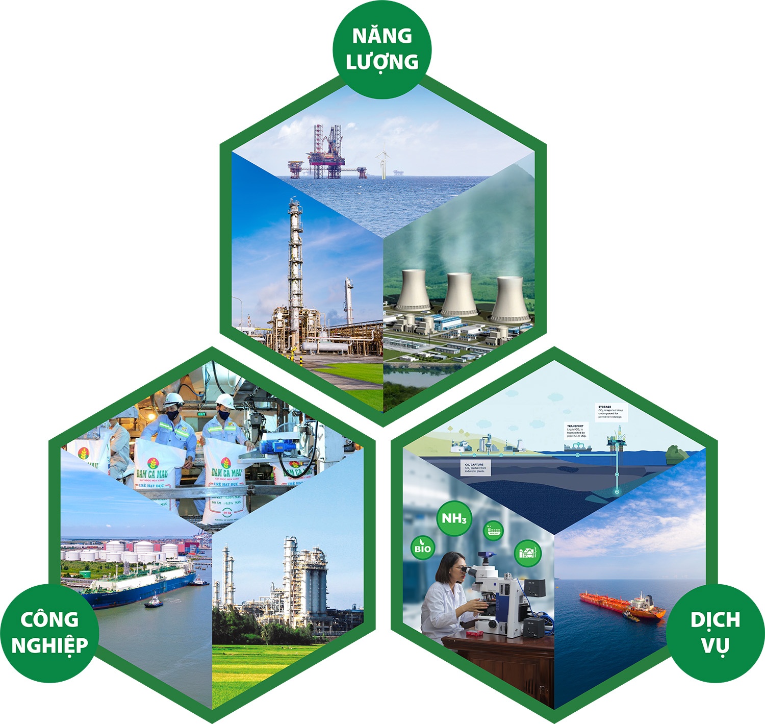 Kết nối chuỗi giá trị, hướng tới mục tiêu tăng trưởng xanh