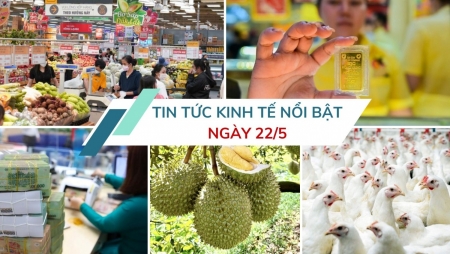 Tin tức kinh tế ngày 22/5: Sầu riêng Việt Nam đón tin vui từ thị trường Trung Quốc