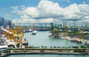 Từ cảng biển đến đô thị logistics quốc tế: Thâm Quyến, Singapore và diện mạo Hải Phòng