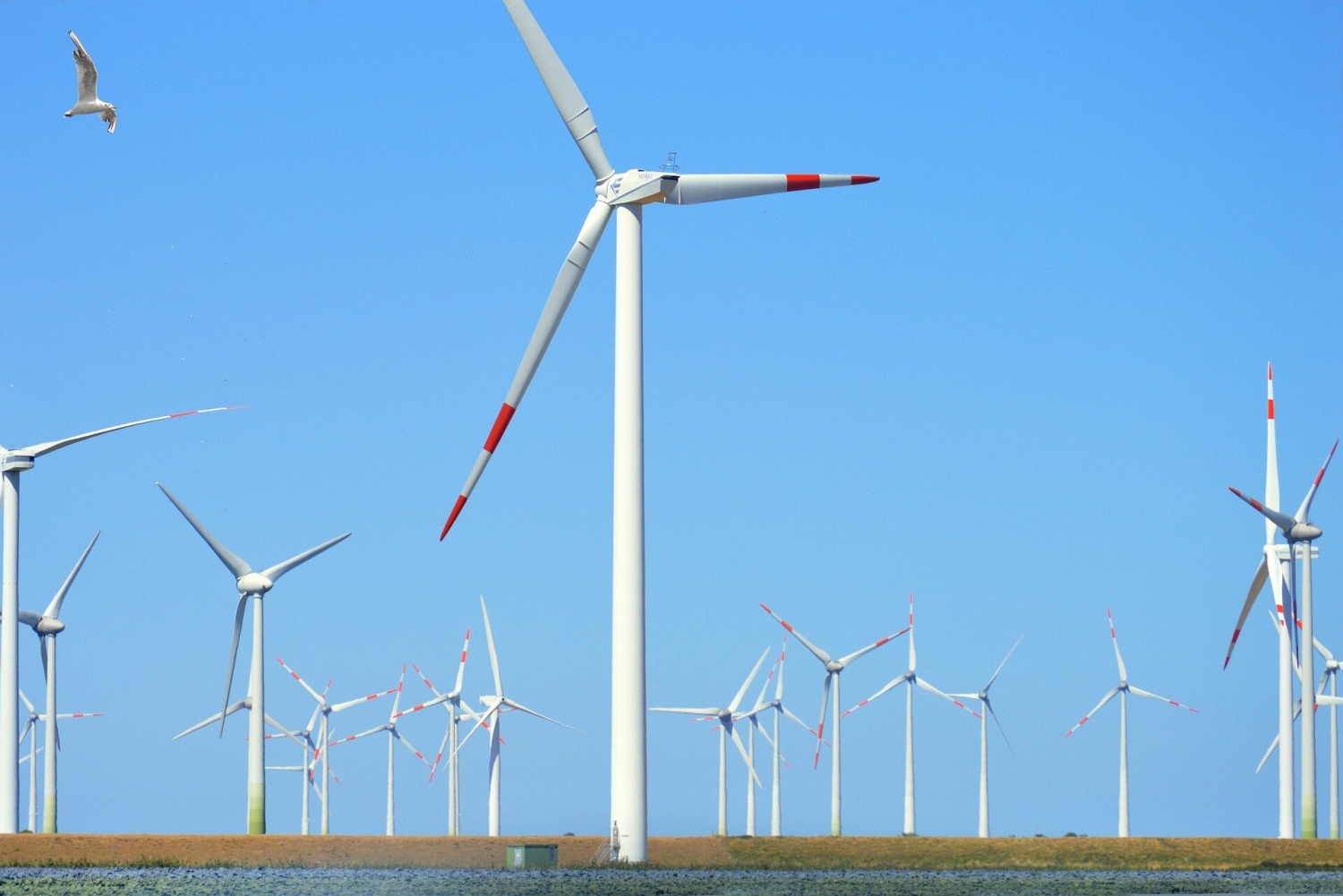 Làm sao phát triển năng lượng tái tạo không làm giảm sản lượng nhiên liệu hóa thạch? Làm sao phát triển năng lượng tái tạo không làm giảm sản lượng nhiên liệu hóa thạch?