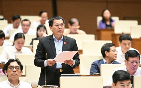 Sửa Luật Đấu thầu: Cần làm rõ ranh giới giữa tự chủ và bắt buộc đấu thầu