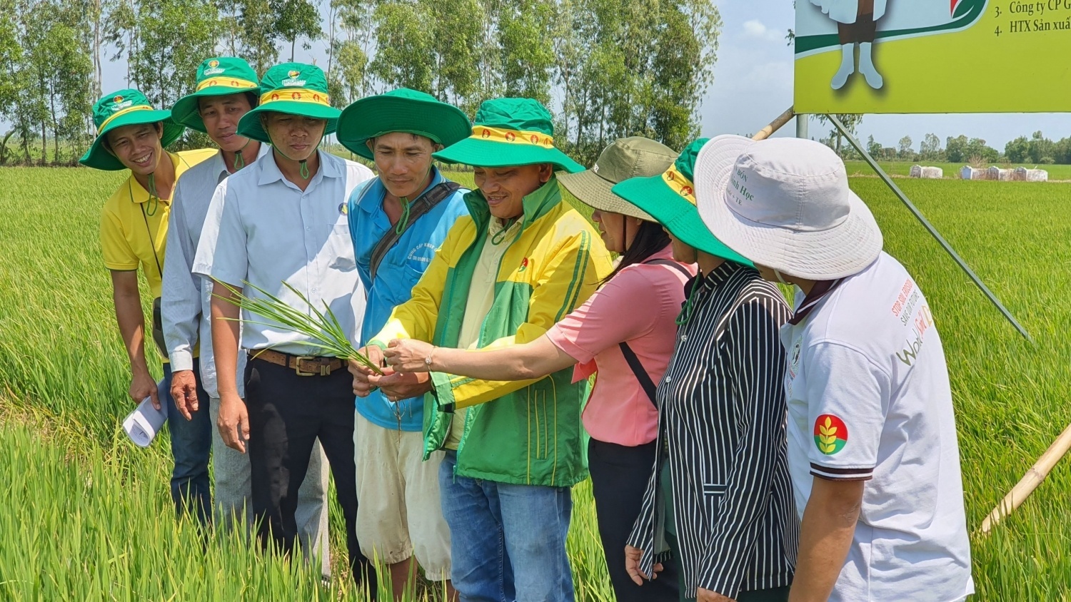 Tác phẩm Ký sự “Nơi mùa vàng bắt đầu”