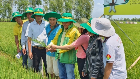 Tác phẩm Ký sự “Nơi mùa vàng bắt đầu”
