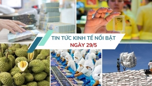Tin tức kinh tế ngày 29/5: Ưu tiên thông quan nông lâm thủy sản và sầu riêng