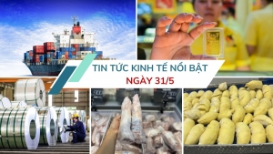 Tin tức kinh tế ngày 31/5: Giá cước vận tải biển tăng phi mã