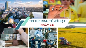 Tin tức kinh tế ngày 2/6: Việt Nam chuẩn bị xuất khẩu lô gạo phát thải thấp đầu tiên
