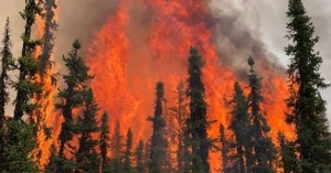 Cháy rừng ảnh hưởng tới hơn 50% sản lượng dầu của Alberta