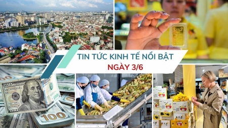 Tin tức kinh tế ngày 3/6: Vải thiều Việt Nam "cập bến" thị trường Pháp