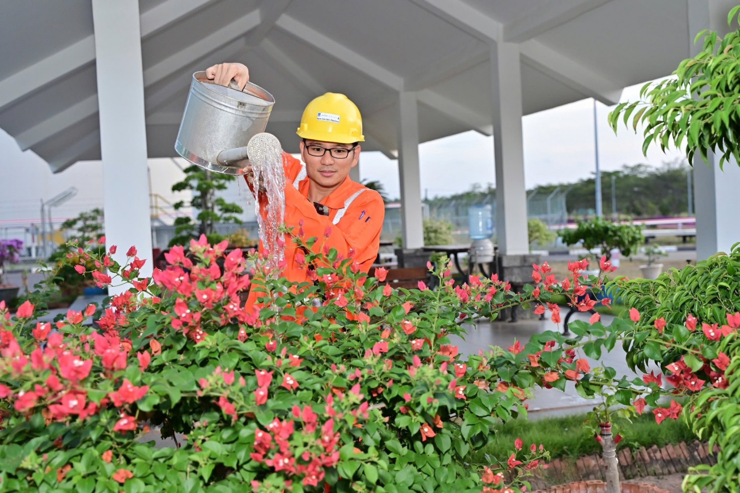 Hoạt động trồng cây xanh và xây dựng môi trường làm việc xanh - sạch - đẹp