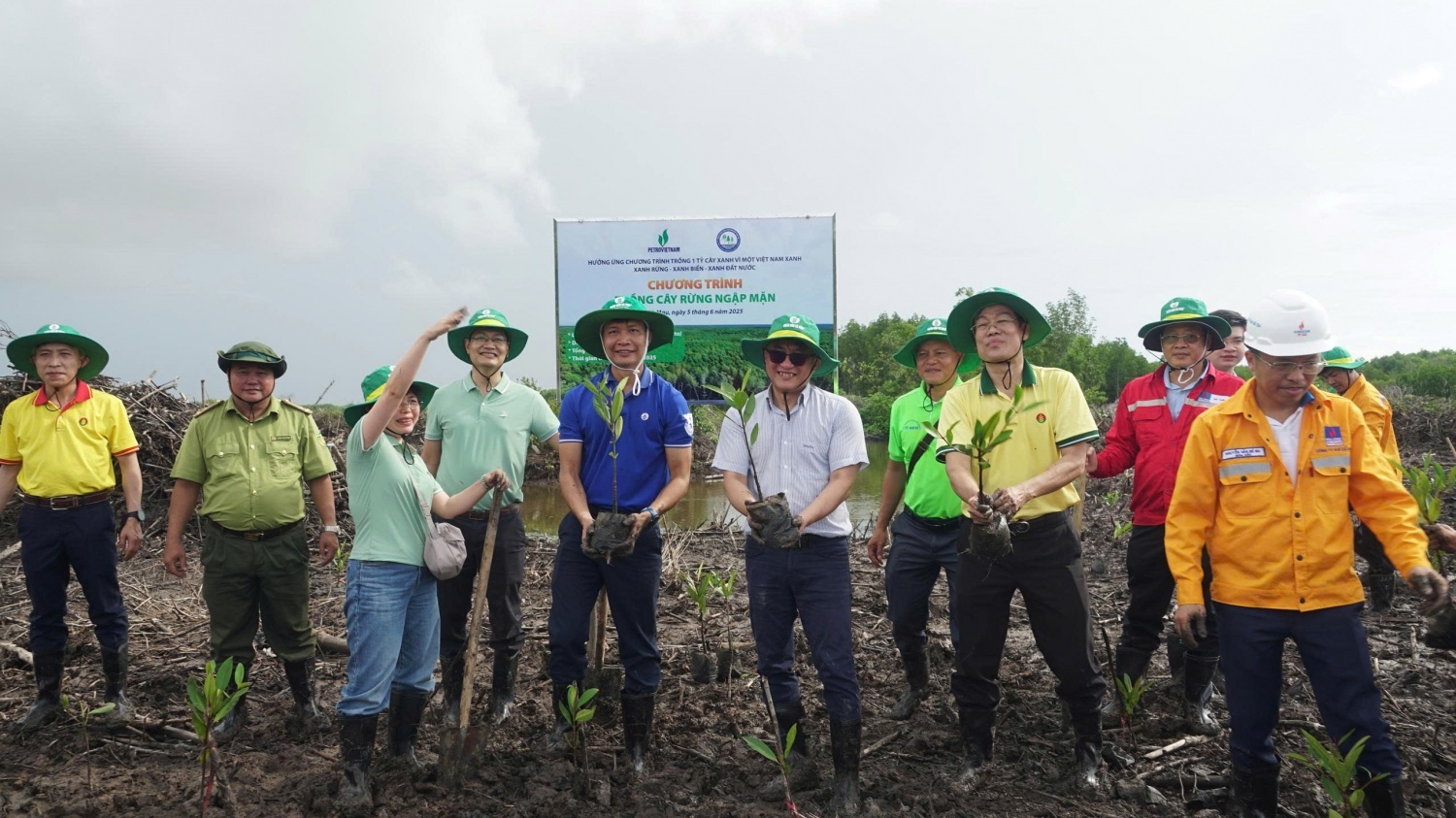 Hưởng ứng Ngày Môi trường Thế giới, Petrovietnam triển khai trồng rừng ngập mặn tại Cà Mau