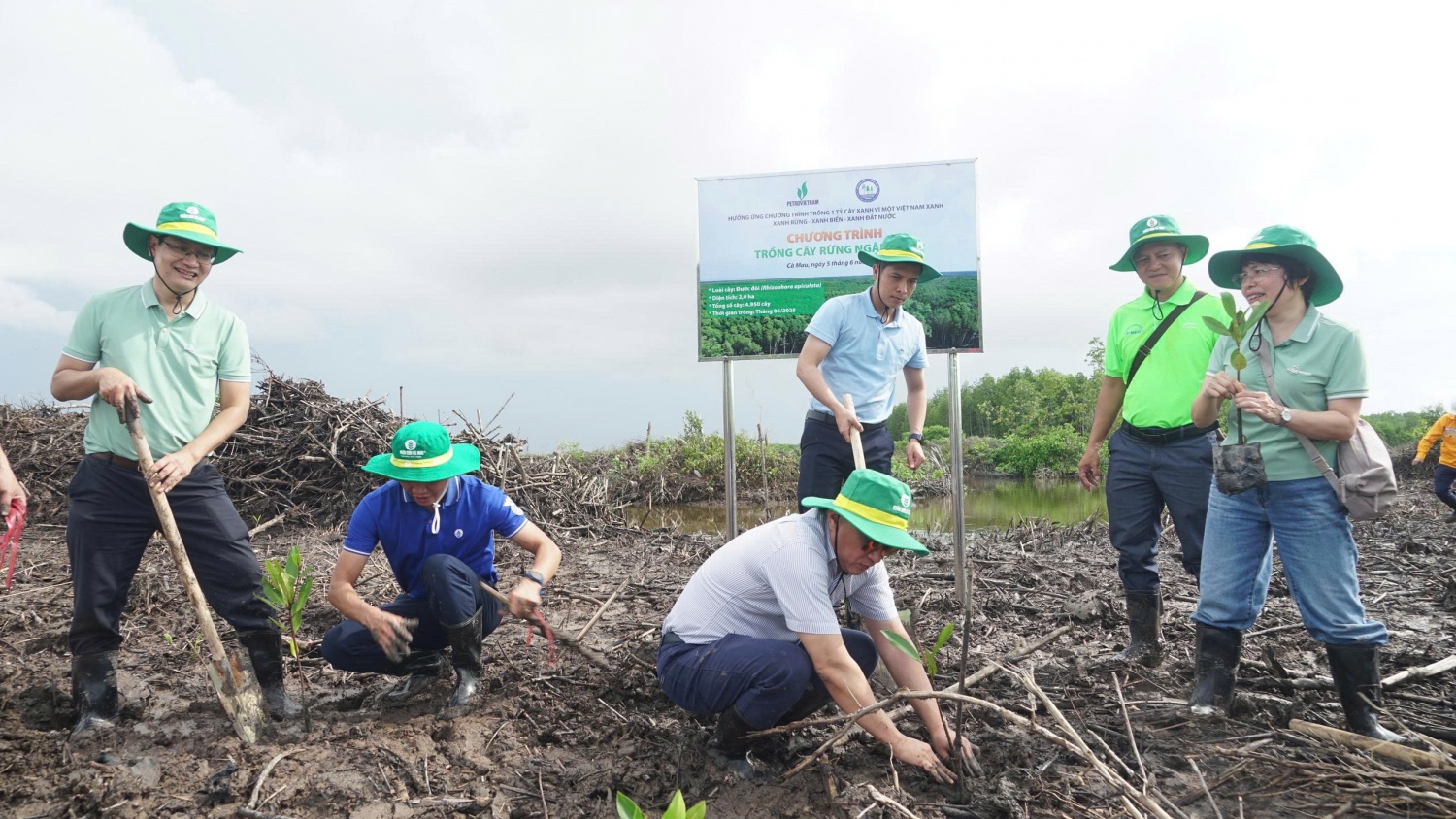 Petrovietnam phát động trồng cây rừng ngập mặn tại Cà Mau hưởng ứng Ngày Môi trường Thế giới