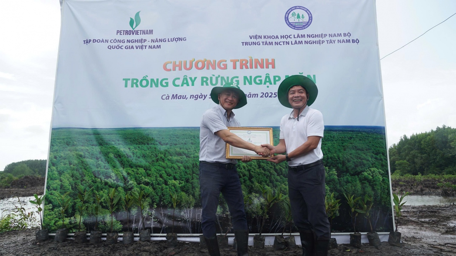 Petrovietnam phát động trồng cây rừng ngập mặn tại Cà Mau hưởng ứng Ngày Môi trường Thế giới