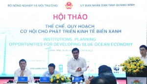 Ưu tiên điện gió ngoài khơi - Đột phá năng lượng xanh trong Quy hoạch không gian biển