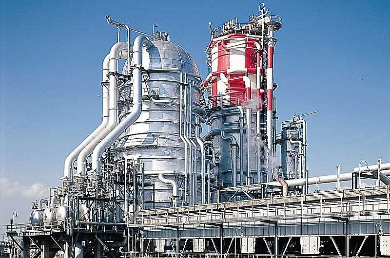 Ảnh: Internet Ảnh: Internet