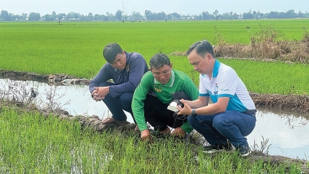 Chuyện về người chuyên bắt bệnh cho đất