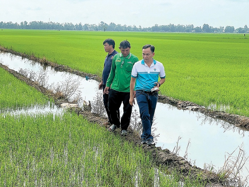 Chuyện về người chuyên bắt bệnh cho đất
