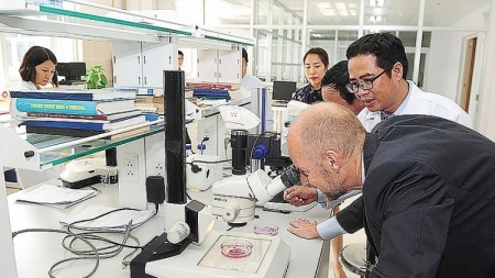 Thành lập Đảng bộ Nghiên cứu Khoa học và Đào tạo trực thuộc Đảng ủy Petrovietnam