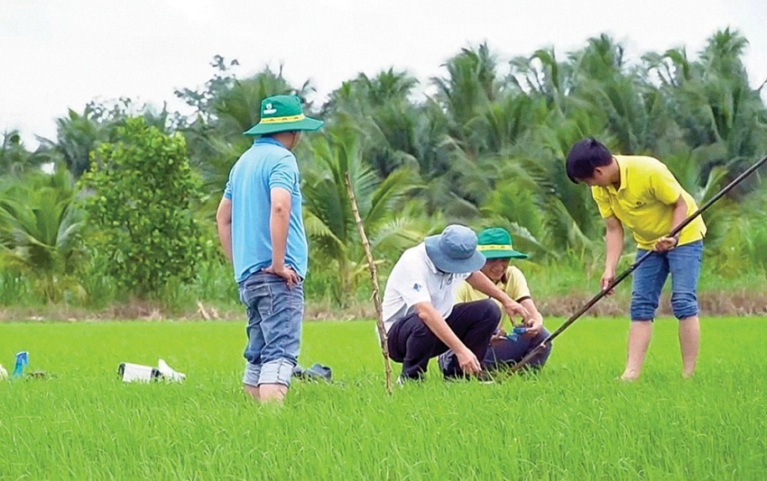 PVCFC đồng hành kiến tạo hệ sinh thái nông nghiệp bền vững vùng Đồng bằng sông Cửu Long