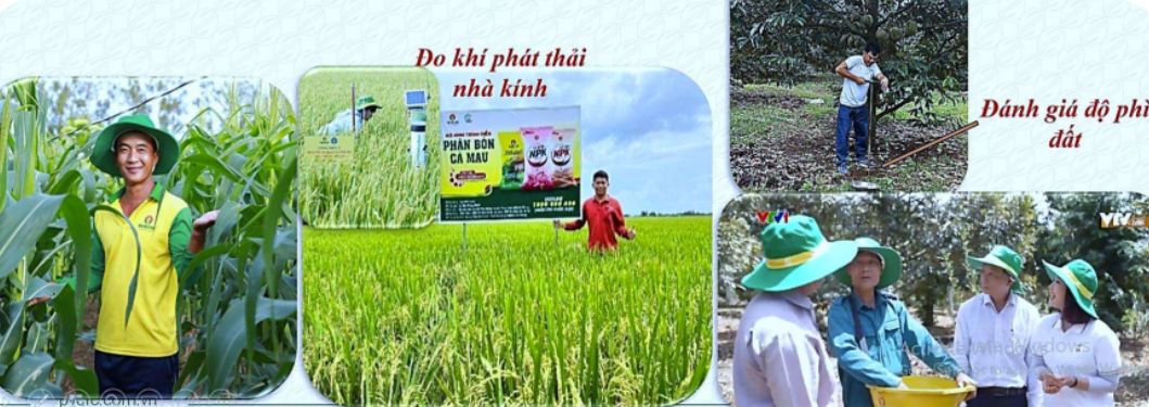 PVCFC đồng hành kiến tạo hệ sinh thái nông nghiệp bền vững vùng Đồng bằng sông Cửu Long