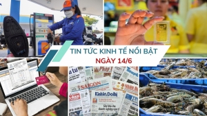 Tin tức kinh tế ngày 14/6: Áp thuế suất ưu đãi 10% với tất cả loại hình báo chí