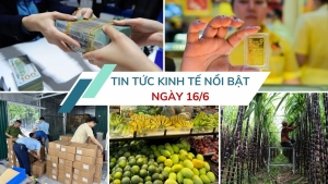 Tin tức kinh tế ngày 16/6: Xử lý hơn 3.100 vụ hàng giả, buôn lậu trong một tháng