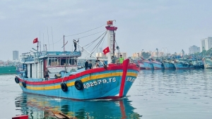 Đà Nẵng siết chặt quản lý 147 tàu cá chưa đủ điều kiện hoạt động