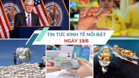 Tin tức kinh tế ngày 19/6: Giá cước vận tải biển tăng mạnh