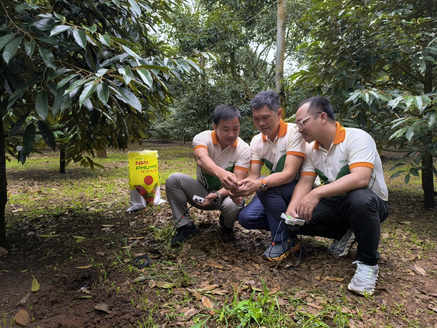Phú Mỹ Fer-Right: Giải pháp phân bón thông minh cho nền nông nghiệp hiện đại và bền vững