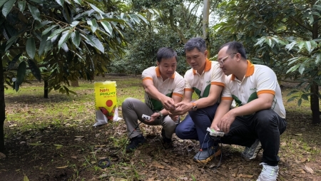 Phú Mỹ Fer-Right: Giải pháp phân bón thông minh cho nền nông nghiệp hiện đại và bền vững