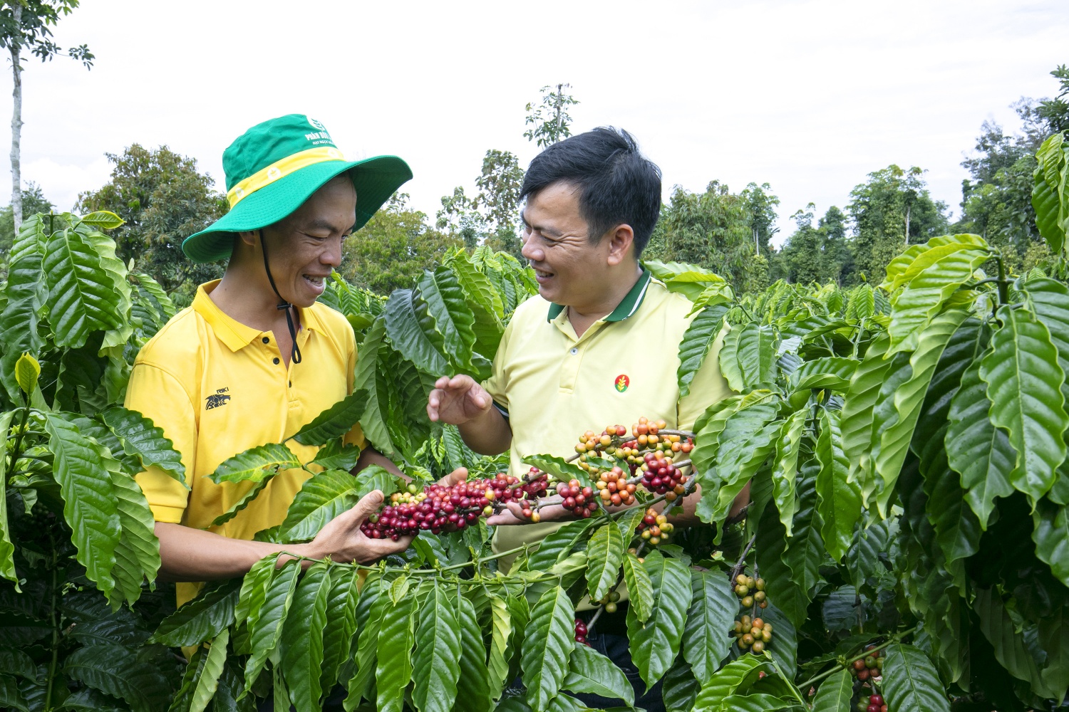 Doanh nghiệp phân bón ổn định giá bán dù nguyên liệu nhập khẩu tăng Doanh nghiệp phân bón ổn định giá bán dù nguyên liệu nhập khẩu tăng