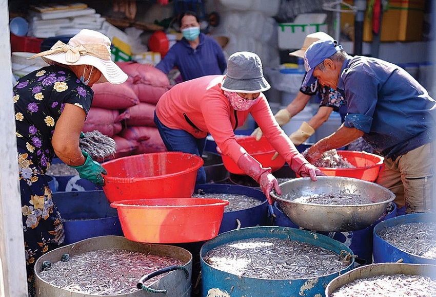 Đánh thức vị trăm năm