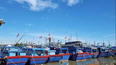 Quảng Ngãi xử lý nghiêm hành vi môi giới đưa tàu đi khai thác trái phép