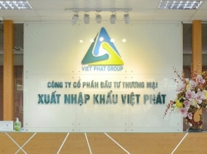 XNK Việt Pháp bị xử lý về lĩnh vực chứng khoán do "ém" thông tin khoản giao dịch 167 tỷ đồng
