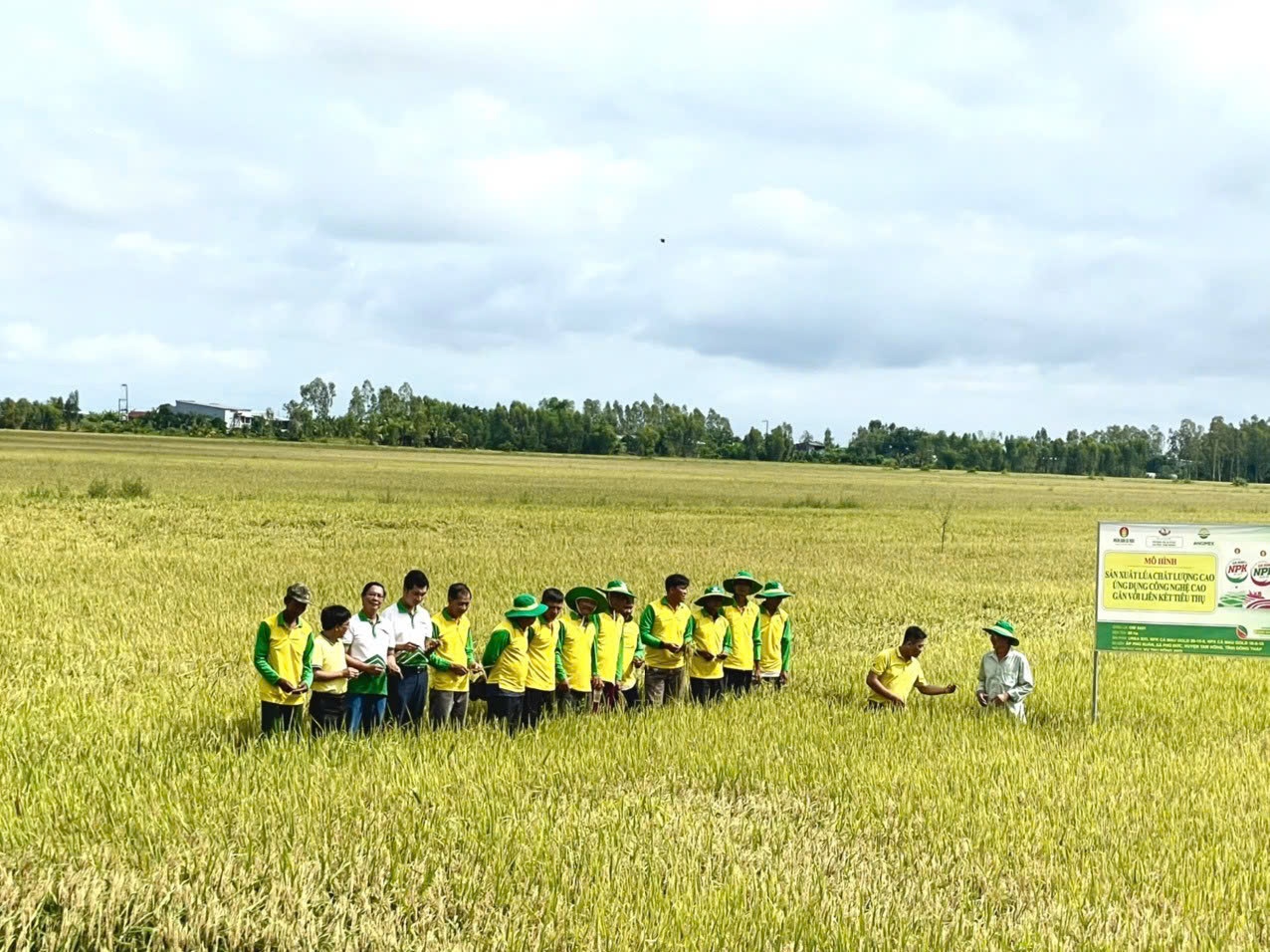 Ứng dụng công nghệ và đổi mới sáng tạo trong Petrovietnam