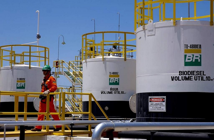 Ảnh: Internet Ảnh: Internet