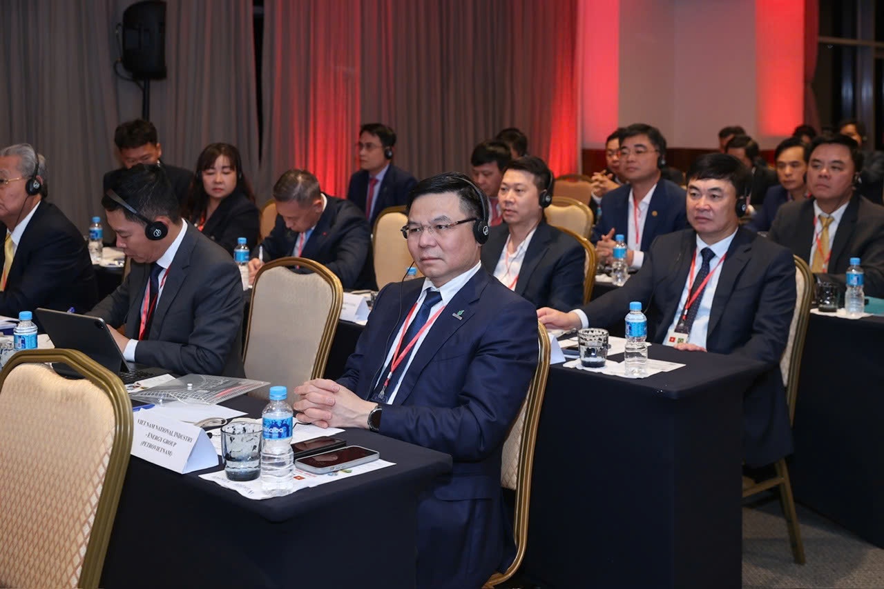 Thúc đẩy quan hệ hợp tác giữa các doanh nghiệp năng lượng Brazil và Việt Nam