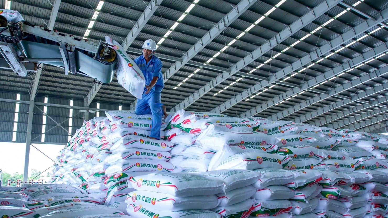 Tháng 6/2025, Phân bón Cà Mau vượt kế hoạch tiêu thụ urê, xuất khẩu tăng mạnh