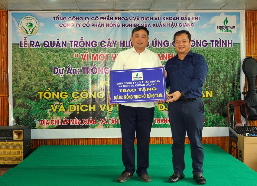 PV Drilling tài trợ 100.000 cây xanh cho dự án phục hồi rừng tràm